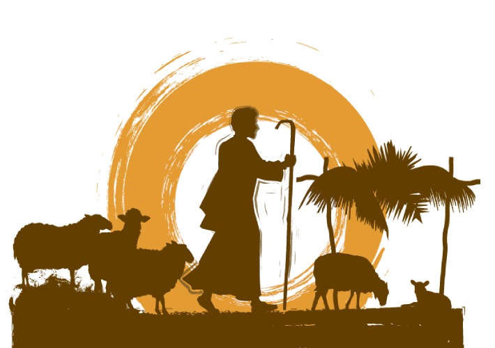 sheep following man